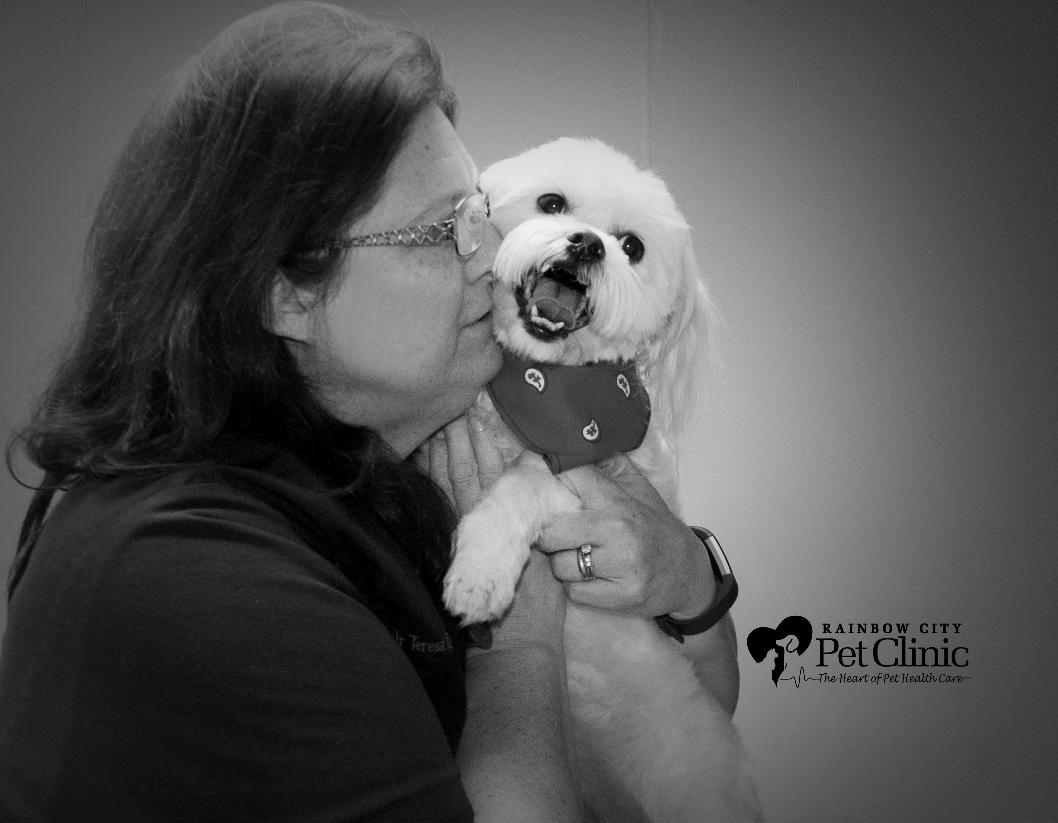 Logo for Rainbow City Pet Clinic